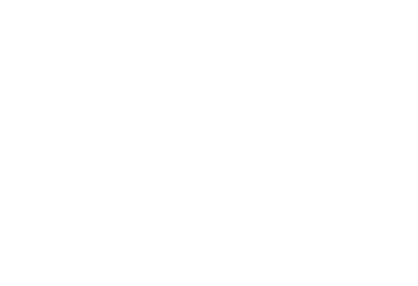 Tribe&Co